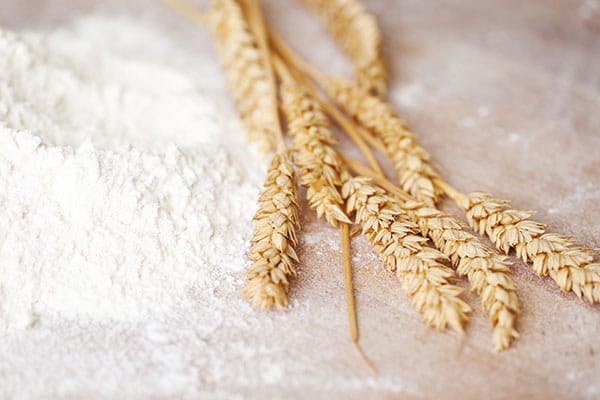 blé et farine sur table